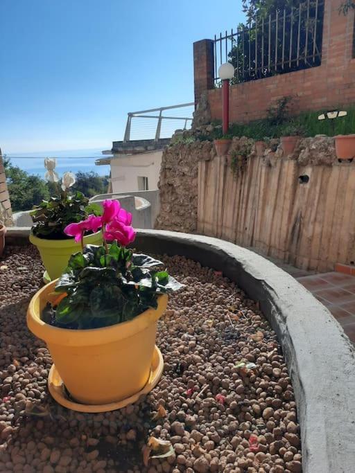 Torre Del Meridiano Casa Vacanze Centrale Termoli Exteriör bild